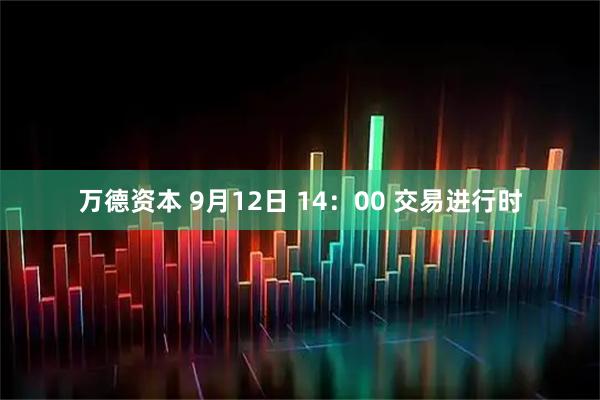 万德资本 9月12日 14：00 交易进行时