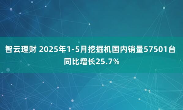 智云理财 2025年1-5月挖掘机国内销量57501台 同比增长25.7%