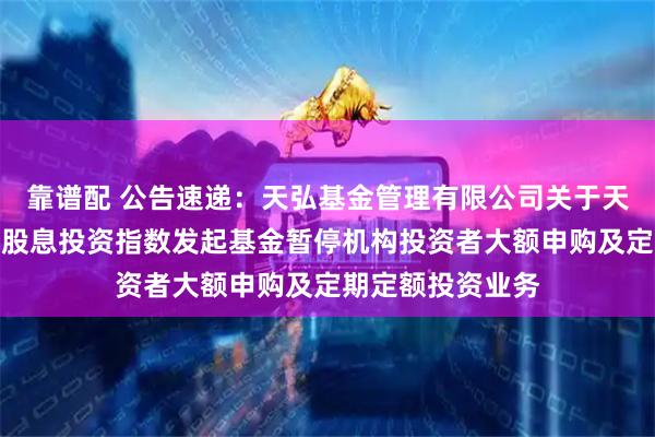 靠谱配 公告速递：天弘基金管理有限公司关于天弘中证港股通高股息投资指数发起基金暂停机构投资者大额申购及定期定额投资业务