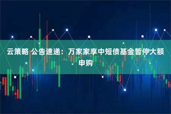 云策略 公告速递：万家家享中短债基金暂停大额申购