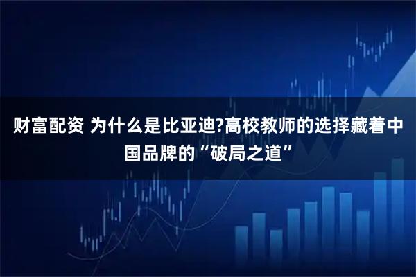 财富配资 为什么是比亚迪?高校教师的选择藏着中国品牌的“破局之道”