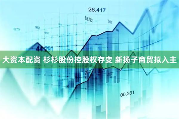 大资本配资 杉杉股份控股权存变 新扬子商贸拟入主