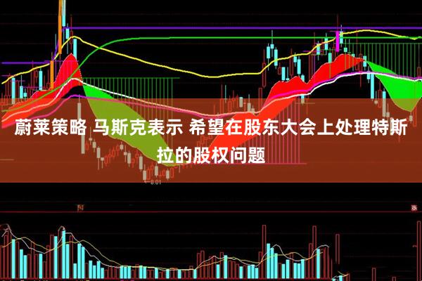 蔚莱策略 马斯克表示 希望在股东大会上处理特斯拉的股权问题